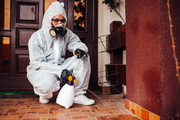 Reliable Ant Control contractor in Woodbranch, TX by Show Me Pest Control